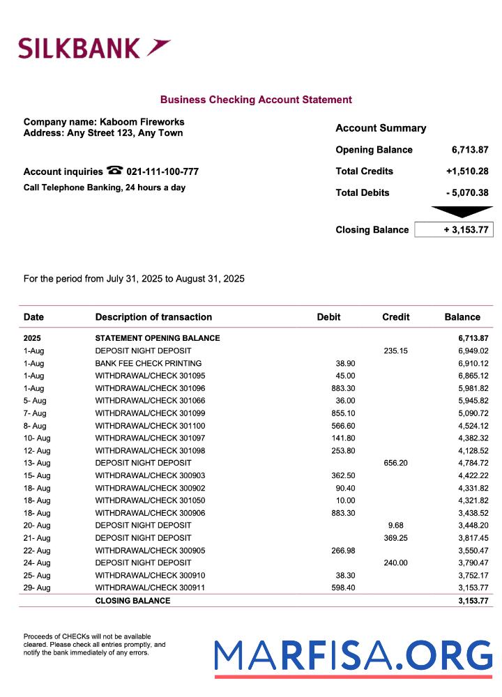 Blank Pakistan Silkbank firm account statement Word and PDF template